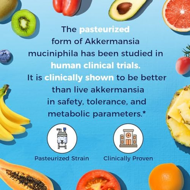 Vitalitown Akkermansia Probiotic Glp-1 With Chicory Inulin 2 Billion Tfu Akkermansia Muciniphila Probiotics For Men & Women Gut Health Digestion Non-Gmo 60 Veg Caps