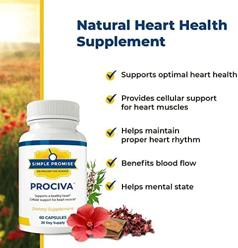 Simple Promise Prociva - Arjuna Bark Extract Heart Health Supplement With Folic Acid, Vitamin D & Magnesium - Herbal Blood Pressure Support & Healthy Heart Maintenance For Men & Women - 60 Capsules