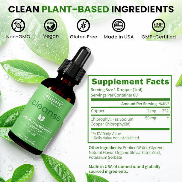 Wellpath Chlorophyll Liquid Drops With Copper - High Potency Vegan Liquid Chlorophyll For Body Odor, Liver Detox, Digestion Support & Immune Support - Internal Deodorant, Made In Usa, Non-Gmo, 2 Fl Oz