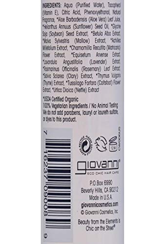 Giovanni- Eco Chic Vitapro Fusion Leave-In Hair Treatment- Protective Moisture For All Hair Types (5.1 Ounce)