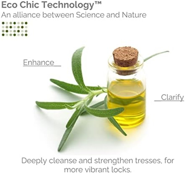 Giovanni Tea Tree Triple Treat Invigorating Shampoo 33.8 Oz. (Liter) - Cooling Peppermint Eucalyptus Rosemary Helps Dry Flaking Scalp Lauryl And Laureth Sulfate  Paraben