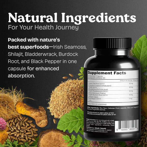 Atlantic Naturals Sea Moss Capsules With Moringa Ashwagandha Black Seed Oil Ginger & Ginseng – Atlantic Sea Moss Supplements For Men And Women – For Daily Energy & Wellness Blend – 120 Count Atlantic Naturals Sea Moss Capsules With Moringa Ashwagandha Black Seed Oil Ginger & Ginseng – Atlantic Sea Moss Supplements For Men And Women – For Daily Energy & Wellness Blend – 120 Count