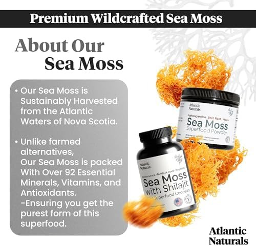Atlantic Naturals Sea Moss Superfood Bundle - Sea Moss With Shilajit 5-In-1 Capsules & Sea Moss Powder With Ashwagandha Beet Root & Maca Root - Enhanced Vitality Skin & Athletic Support 60 Ct & 150G
