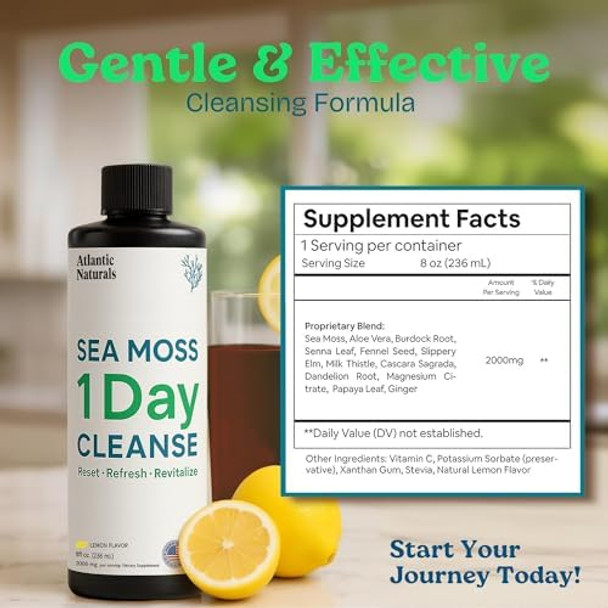 Atlantic Naturals - 1 Day Colon Cleanse Full Body Detox Drink - Sea Moss Supplement For Women & Men Gut Health Kidney & Liver Immune Energy Enhancer Gut Cleanse - Lemon Flavor Juice 8 Fl Oz