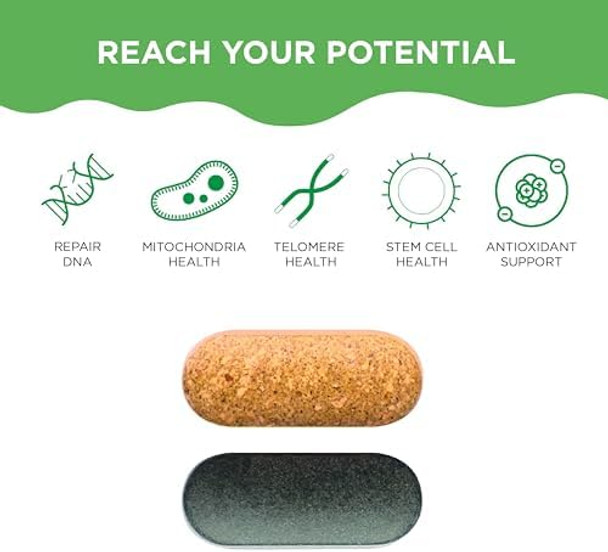 Healhtycell Am/Pm Healthspan System - 90+ Vitamins Minerals Protective Phytonutrients Probiotics & Enzymes For Advanced Cellular Nutrition - 60 Am Tablets & 60 Pm Tablets Healhtycell Am/Pm Healthspan System - 90+ Vitamins Minerals Protective Phytonutrients Probiotics & Enzymes For Advanced Cellular Nutrition - 60 Am Tablets & 60 Pm Tablets