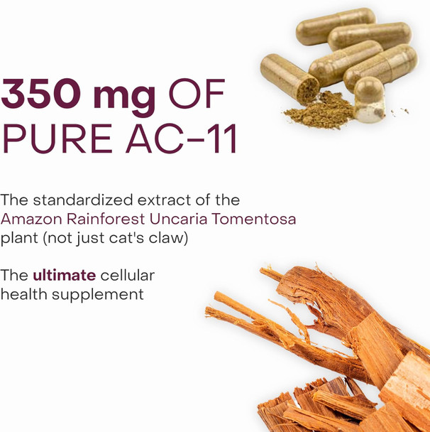 Healthycell Telomere Length Supplement - Anti-Aging Telomere Lengthening Supplements With Phytonutrients & Vitamins For Cellular Health - Ac-11 Astragalus & Resveratrol - 30 Capsules