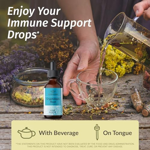 Herbamama Liquid Drops Kit - Bundle Of Cryptolepis Root & Black Elderberry Tincture 2 Fl Oz - Vegan Non-Gmo Sugar & Alcohol- - 2 Pack