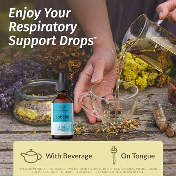 Herbamama Lobelia Extract Drops And Lung Cleanse Gummies Kit - Bundle Of Lobelia Leaf Tincture 2 Fl Oz & Lung Cleanse Gummies - Vegan Non Gmo - 2 Pack Herbamama Lobelia Extract Drops And Lung Cleanse Gummies Kit - Bundle Of Lobelia Leaf Tincture 2 Fl Oz & Lung Cleanse Gummies - Vegan Non Gmo - 2 Pack