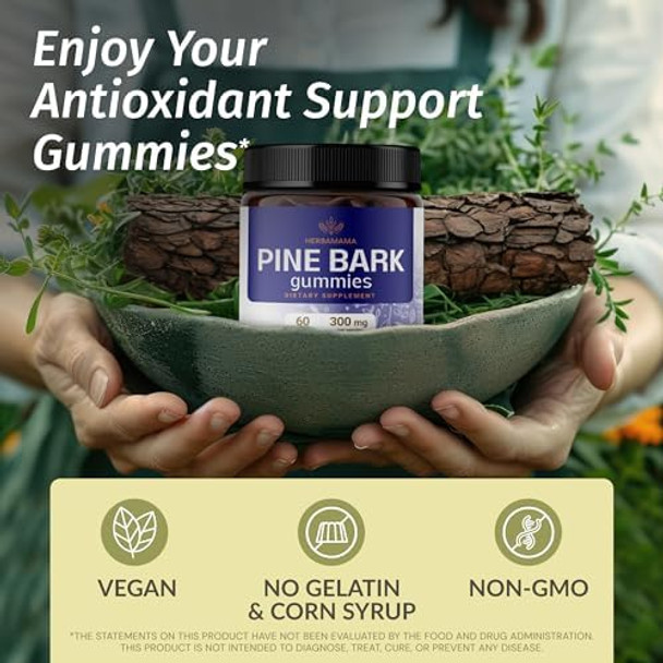 Herbamama Pine Bark Extract Gummies - 300Mg French Maritime Pine Bark Tree For Antioxidant Support - Vegan Non-Gmo Pinus Pinaster Supplement - 60 Pectin-Based Blueberry-Flavored Chews Herbamama Pine Bark Extract Gummies - 300Mg French Maritime Pine Bark Tree For Antioxidant Support - Vegan Non-Gmo Pinus Pinaster Supplement - 60 Pectin-Based Blueberry-Flavored Chews