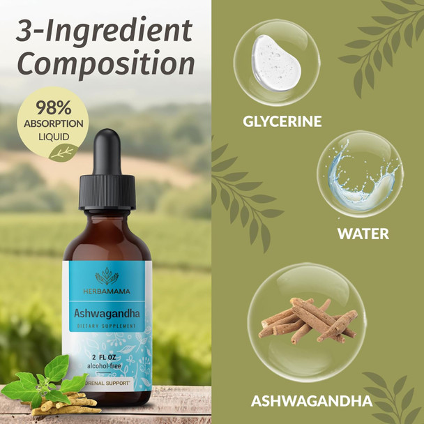 Herbamama Ashwagandha Liquid Drops - Vegan Ashwagandha Root Extract For Calm & Mood Support - Non-Gmo Alcohol & Sugar- Calming Supplement For Adults 28-Day Supply Herbamama Ashwagandha Liquid Drops - Vegan Ashwagandha Root Extract For Calm & Mood Support - Non-Gmo Alcohol & Sugar- Calming Supplement For Adults 28-Day Supply