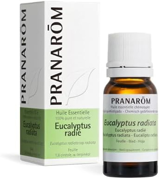 Pranarôm - Eucalyptus Radiata Essential Oil - Leaf - 10 Ml Pranarôm - Eucalyptus Radiata Essential Oil - Leaf - 10 Ml