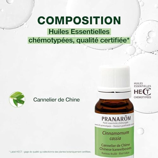 Pranarôm Huile Essentielle Cannelier De Chine Cinnamomum Cassia Rameau Feuillé Hect 10 Ml Pranarôm Huile Essentielle Cannelier De Chine Cinnamomum Cassia Rameau Feuillé Hect 10 Ml