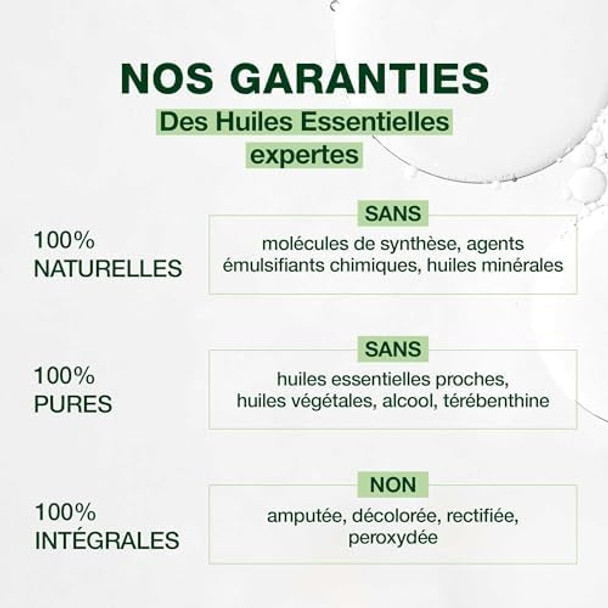 Pranarôm Huile Essentielle Cannelier De Chine Cinnamomum Cassia Rameau Feuillé Hect 10 Ml Pranarôm Huile Essentielle Cannelier De Chine Cinnamomum Cassia Rameau Feuillé Hect 10 Ml