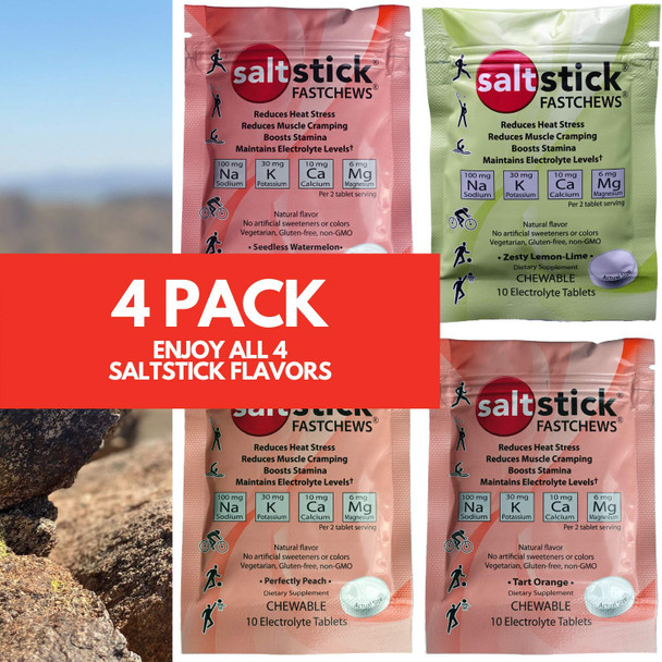 Saltstick Fastchews Electrolyte Replacement Tablets For Rehydration Exercise Recovery Youth & Adult Athletes Hiking Sports Recovery 10Ct Variety 4-Pack