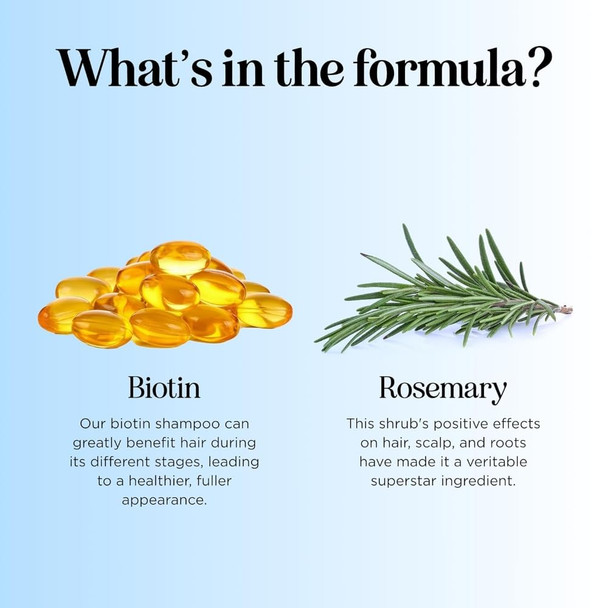 Maple Holistics Biotin Thickening Shampoo for Hair Growth and Volume with Natural Dht Blocker for Hair Loss for Men and Women (16 Oz)