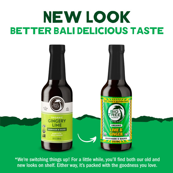 Big Tree Farms Organic Coco Aminos - Liquid Coconut Aminos Soy-Free Sauce Low Sodium Soy Alternative Gluten Free Kosher Marinade & Sauce Non-GMO - Gingery Lime 10 Fl Oz Pack of 2