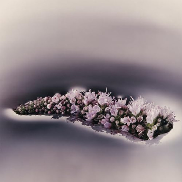 Aesop Eleos Moisturizing Body Cleanser Hydrating Ingredients For Refreshed Soft Skin Enriched With Emollients Humectants Purifying Botanicals 180Ml / 6.2Oz