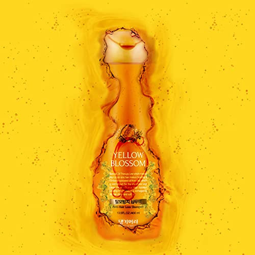 Daeng Gi Meo Ri- Hair Blossom Set: Yellow Blossom Hair Shampoo (400Ml) + Treatment Nourishing And Fresh (300Ml)