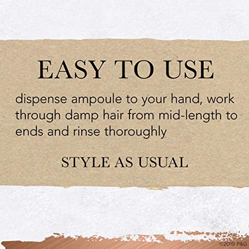 Hair Food Color Repair Concentrate Repair Damage And Prevent Fade Shea Butter And Pear Paraben & Dye Pack Of 4 0.5 Oz Each