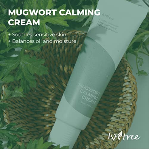 Isntree Mugwort Calming Cream 50Ml 1.69 Fl.Oz Soothes Ensitive Skin Balances Oil And Moisture