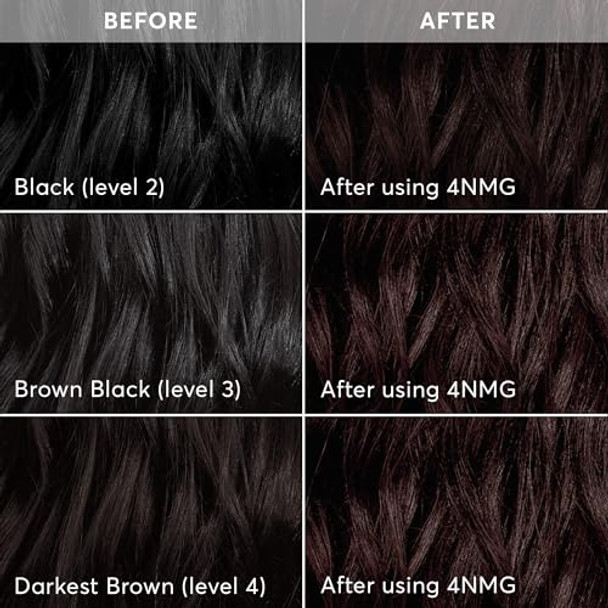 Madison Reed Radiant Refresh Hair Color Bundle - Radiant Hair Color Kit In Bolzano Brown - 4Nmg And Color Therapy In Castagna