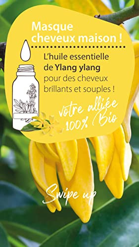Pranarôm Les Diffusables Bien Chez Soi Mélange Huiles Essentielles Pour Diffuseur Cocooning Ylang-Ylang Et Rose De Damas Bio (Eco) 30 Ml