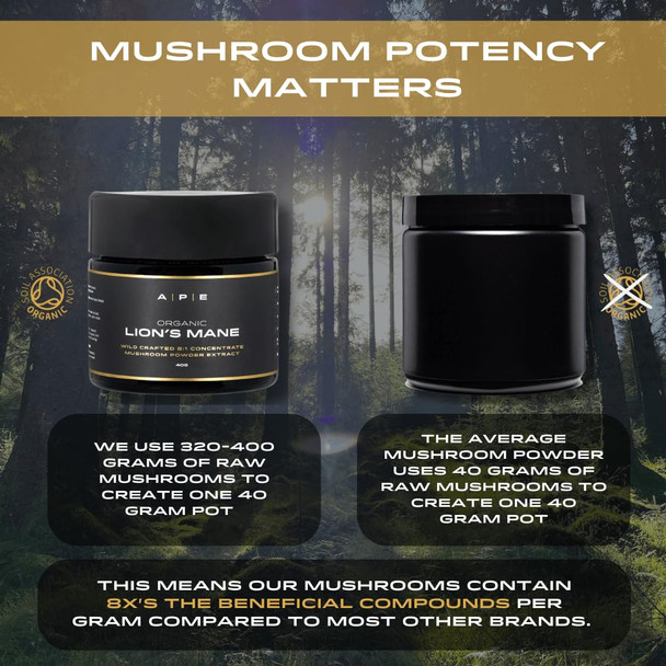APE Nutrition Organic Lion’s Mane Mushroom Extract Powder - Certified Organic & Wild Crafted Improves Memory & Focus UK Supplements Pure Concentrated Extract 40G
