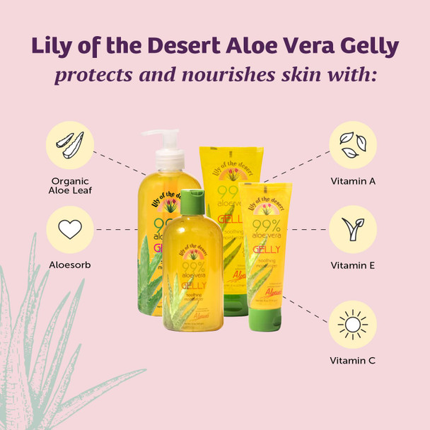 Lily Of The Desert Gelly Moisturizer - 99% Organic Aloe Vera Gel for Skin After Sun Care with Aloe Vitamin E Oil and Vitamin C for Sunburn Relief 16 Fl Oz
