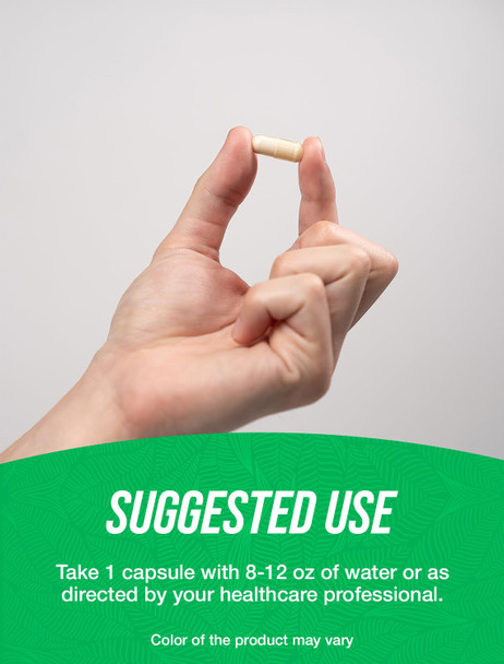 BulkSupplements.com Boswellia Serrata Extract Capsules  Boswellia Serrata Capsules Boswellia Serrata Supplement Gluten Free 1 Capsule per Serving 240 Veg Capsules (Pack of 1)