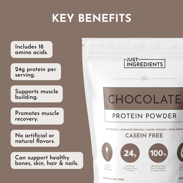JUST INGREDIENTS Chocolate Protein Powder – 30-Serving Blend with 100% Grass-Fed Whey & Organic Plant Proteins – Rich Cocoa Flavor – Supports Muscle Recovery Energy & Satiety* – No Artificial Sweeteners or Fillers Visit the JUST INGREDIENTS Store