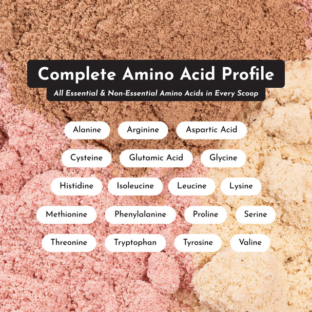 JUST INGREDIENTS Chocolate Protein Powder – 30-Serving Blend with 100% Grass-Fed Whey & Organic Plant Proteins – Rich Cocoa Flavor – Supports Muscle Recovery Energy & Satiety* – No Artificial Sweeteners or Fillers Visit the JUST INGREDIENTS Store