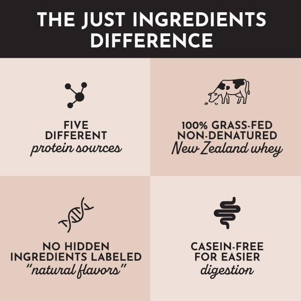 JUST INGREDIENTS Chocolate Protein Powder – 30-Serving Blend with 100% Grass-Fed Whey & Organic Plant Proteins – Rich Cocoa Flavor – Supports Muscle Recovery Energy & Satiety* – No Artificial Sweeteners or Fillers Visit the JUST INGREDIENTS Store