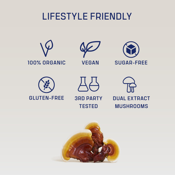 DIRTEA Reishi Mushroom Powder | 2000mg / Serving | Organic Vegan & Non GMO | Sleep Quality Stress & Immunity Support | High Strength Supplement | 60g - 30 Servings