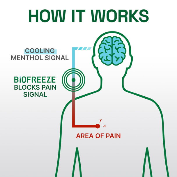 Biofreeze Professional Pain Relief Roll On for Knee Neck Hip Joint & Shoulder Simple Backache Pain Reliever Sore Muscle Relief Roll-On Menthol Gel 3 Fl Oz Pack of 3
