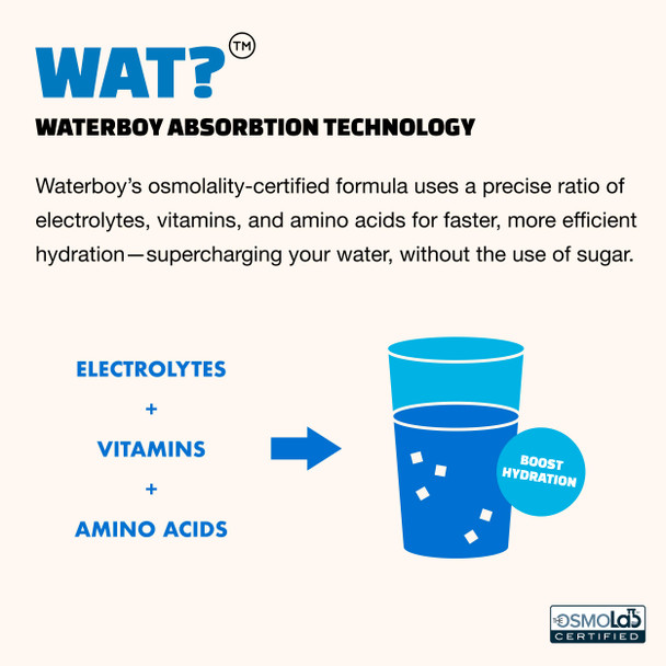 Waterboy Daily Hydration | 1570mg Electrolyte Powder Packets | No Sugar All Natural Gluten Free Zero Calories | 15 Drink Stick Mixes (Watermelon)