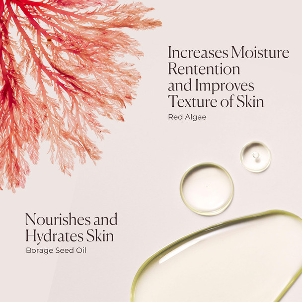 Laura Mercier Serum Body Cream Moisturizing Serum-Infused 48HR Hydration Improves Skin Barrier Soothes Dry Skin Shea Butter and Squalane Intensely Nourishes Bath & Body Set Holiday Gift Set -Ambre Vanille Holiday Set