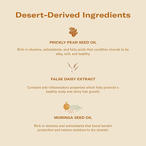 Dae Prickly Pear Hair Oil Stargloss Treatment & Vegan Detangle + Style Brush