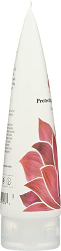 Derma E Rosehip & Almond Anti-Aging Shea Body Lotion Parabens  Vegan 8 Fluid Ounces (Pack Of 1)