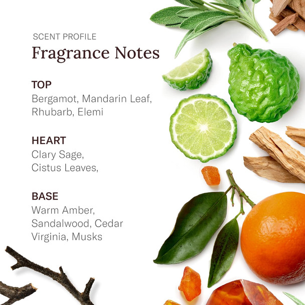 Scent Beauty Stetson Personal Care Extra Strength Deodorant By Scent Beauty - Gel Men'S Deodorant Stick For Grooming Kit - 3 Oz - 3 Pack - Off-Road