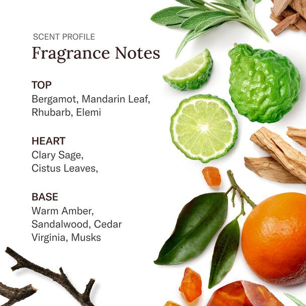 Scent Beauty Stetson Personal Care Face & Beard Moisturizer Facial Moisturizer For Men - Cream For Face & Beard - 5 Oz - 3 Pack - Original Fragrance