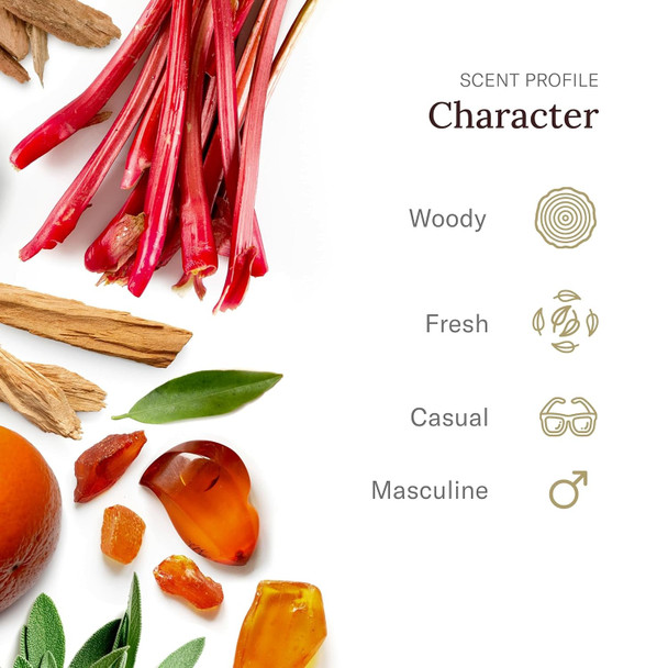 Scent Beauty Stetson Personal Care All Over Hair & Body Wash Moisturizing Body Wash & Shampoo - 16 Oz - 3 Pack - Oasis