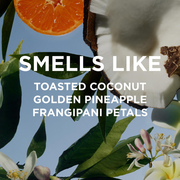 By Rosie Jane Everyday Body Milk (Missy) - Hydrating Toner & Body Moisturizer to Help Even Skin Tone - Infused with Soothing Aloe Vera and Turmeric Root to Promote Anti-Aging (5 Ounce)