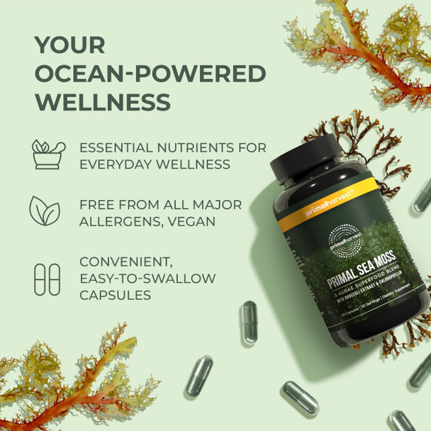Primal Harvest Sea Moss Capsules with Bladderwack and Irish Sea Moss, Chlorella, Broccoli Seed Extract Plant-Based Supplements for Adults