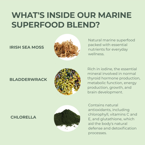Primal Harvest Sea Moss Capsules with Bladderwack and Irish Sea Moss, Chlorella, Broccoli Seed Extract Plant-Based Supplements for Adults