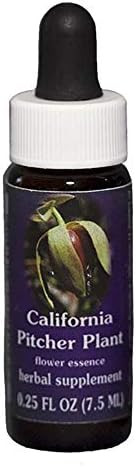 Flower Essence Services Essence Dogwood 0.25 Ounce