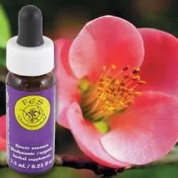 Flower Essence Services Essence Dogwood 0.25 Ounce