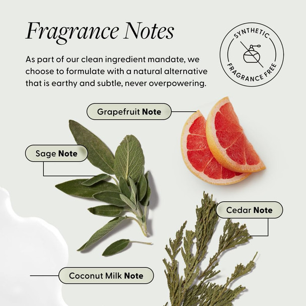 Arey Shower Duo | Daily Wash Shampoo and Smooth Conditioner Set | Delay + Reduce the Signs of Aging Grey Hair | Retain Moisture Promote Smoothness | Vegan Gluten-Free & Cruelty Free (2 Pack)