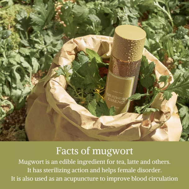 I'm From Miniatures of Rice Toner, Mugwort Essence, Fig Boosting Essence (Mugwort), Stocking Stuffers, Gifts for Women