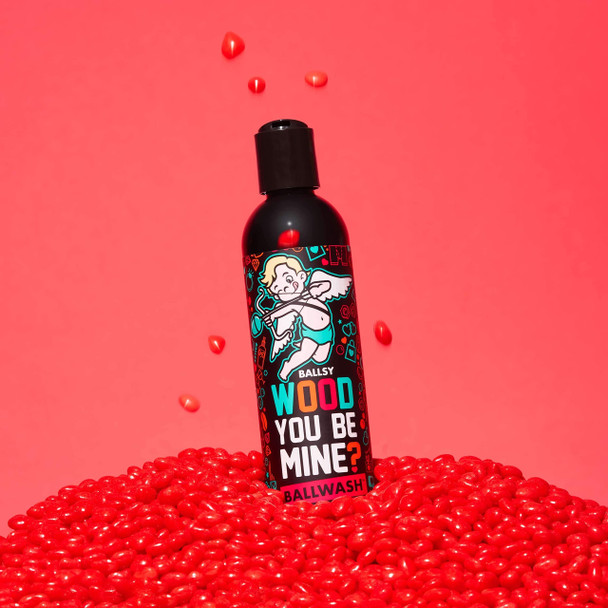 Ballsy Ballwash Wood You Be Mine Charcoal Body Wash for Men Soap Moisturizing Shower Gel w/Coconut Oil and Aloe Vera Drift & Dunes Scent 8 Fl oz
