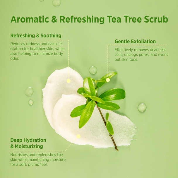 RoyceDerm Tea Tree Exfoliating Body Scrub: Deep Cleansing Scrub with Tea Tree Oil & Dead Sea Salt for Smooth Skin - 12oz